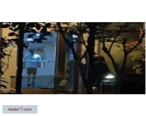 探索深夜的无限可能：免费午夜视频的秘密花园